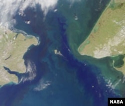 Бериң кысыгы.