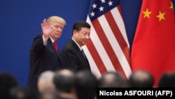 Donald Trump și președintele Chinei, Xi Jinping, pe 9 noiembrie 2017.