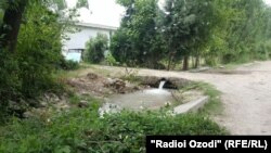 Недалеко от места происшествия