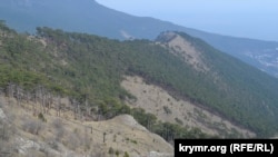 Ялтинский горно-лесной заповедник