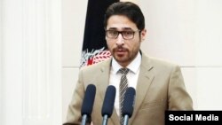 نجیب آزاد معاون سخنگوی ریاست جمهوری