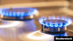 Көгүлтүр отун.