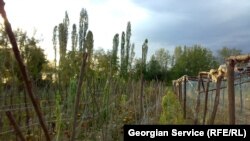 სტიქიის შედეგები