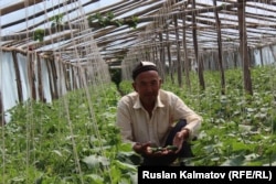 Половина из 1,4 млн плательщиков –сельхозпроизводители и самозанятые граждане, которые обеспечивают всего 3% поступлений в Соцфонд.