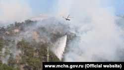 Лесной пожар в заповедной зоне, ущелье Уч-Кош