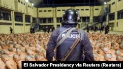 პოლიციელი სალვადორის ციხეში ბანდების წევრებს მეთვალყურეობს.