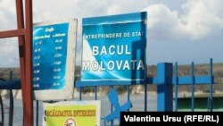 Bacul Molovata
