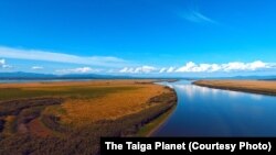 "Планета Тайга"