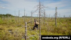 Балота Ельня