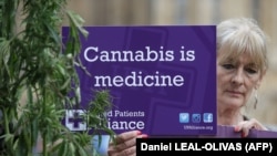 Поодржувач во Британија држи транспарaрент промовирајќи употреба на канабис во медицински цели.