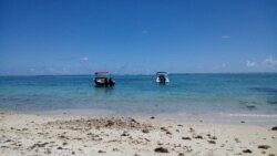 "Флик-ен-Флак"ның керпеле пляжы