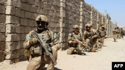 نیکلسن: نیروهای خاص افغان در برخی از عملیات‎های ضد تروریزم با نیروهای امریکایی در افغانستان هم اشتراک می‎کنند.