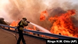 Калифорниядагы өрт өчүрүүчүлөрдүн аракети. 12-ноябрь, 2018-жыл.