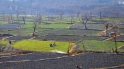 د کابل سروبي ولسوالۍ یوه څنډه