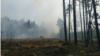 Лясны пажар у Беларусі, архіўнае фота