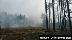 Лясны пажар у Беларусі, архіўнае фота