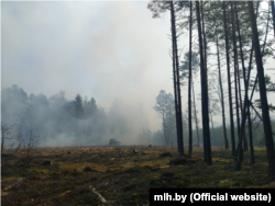 Пажар у лесе Гомельскай вобласьці, 2020 год, ілюстрацыйнае фота