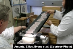 Иллюстративное фото.