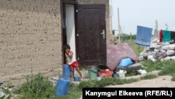 Мурас-Ордо жаңы конушу