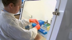 потрага по лек за коронавирусот