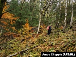 Kristek folosește un contor Geiger pentru a căuta minerale radioactive în Munții Metaliferi din regiunea Boemia de Nord.