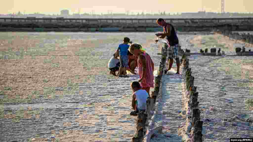 Поки ж кримчани цілими сім'ями приїжджають на Сасик-Сиваш, оскільки ніякої заборони на збір солі немає