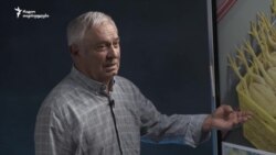 „ეს არის ხელოვნურად გაყვითლებული“ - ზოოტექნიკოსი შეღებილ ქათმებზე