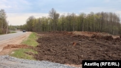 Татарстандагы токойдун жок кылынышы