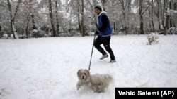 Beware of the dangerous animal! A man walks his dog in a park in central Tehran.