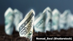 "Në bazë të vlerësimeve, rreth 800 miliardë dollarë nga Rusia janë në banka të huaja, shumë kjo që tejkalon shumën e parave që gjenden në llogaritë bankare në Rusi”, thotë gazetarja britanike, Catherine Belton.