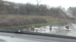 Збиття, маневри полювання та бої в небі. Залаштунки роботи дронарів і кадри з БПЛА (відео)