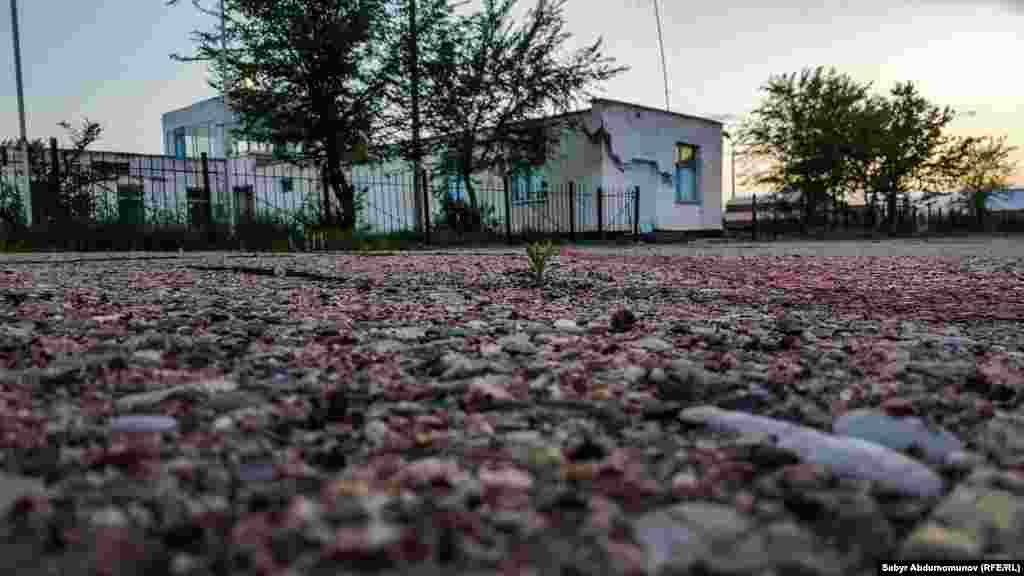 Учурда аэропорттун учуу тилкелери жакшы сакталып калган. Аба майдан 22 тоннага чейин жүк көтөрө алат. Тогуз-Тородон облус борбору Жалал-Абадга 1997-жылдын аягына чейин "Кыргызстан аба жолдорунун" 32-орундуу ЯК&ndash;40 учагы такай каттап турган, билет наркы &ndash; 150 сом болчу.