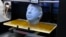 3D принтер жасаган адамдын бедизи. Ганновердеги жармаңкеде тартылган сүрөт 