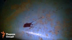 Мафтуне нанесли 45 ударов ножом