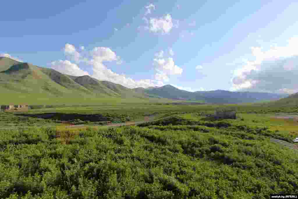 Холодные ручейки, спрятанные в зеленой траве, бегут вдоль тропинок, вытоптанных редкими пастухами и лошадьми
