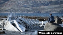 Leviathan offers a stark portrayal of official corruption in provincial Russia. 