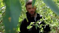 Nature Reclaiming Ukrainian Reservoir Drained By 2023 Dam Breach