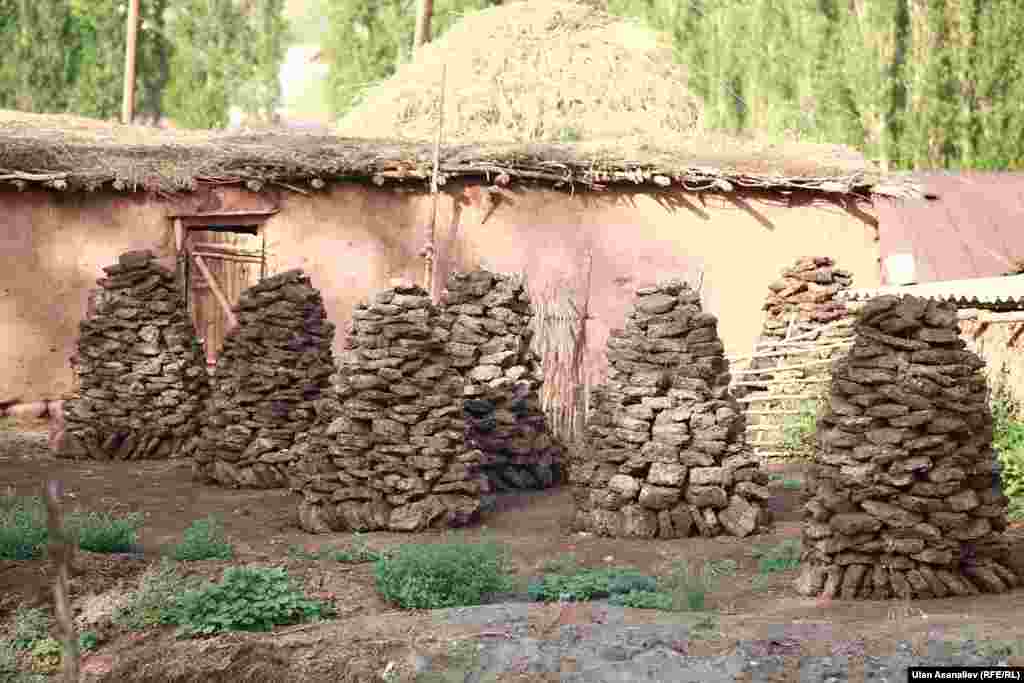 Навозные "лепешки" - отличное топливо зимой и летом