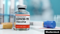 Бу суратнинг Хитойда ишлаб чиқарилган вакцинага алоқаси йўқ.