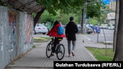 Бишкекте тротуарда велосипед тээп бараткан жаран. Архивдик сүрөт.
