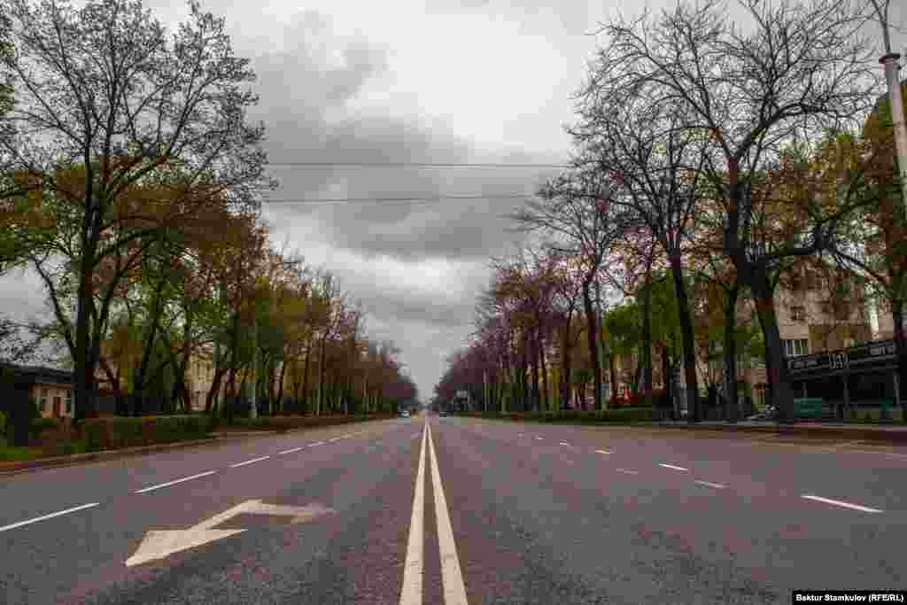 Бош калган Манас проспекти.
