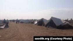 Несколько месяцев жители снесенных домов в Ургенчском районе жили в палатках и шалашах под открытым небом.