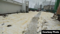 Желтый снег в Сегеже 