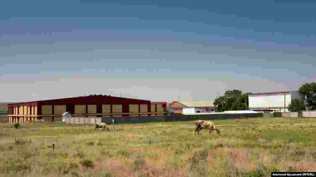 М'ясопереробний комбінат групи компаній &laquo;Скворцове&raquo; з'явився в селі у 2002 році. Це головний виробничий об'єкт тутешніх місць