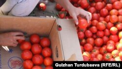 Illýustrasiýa suraty