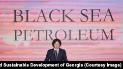 ირაკლი კობახიძე პროექტის პრეზენტაციაზე