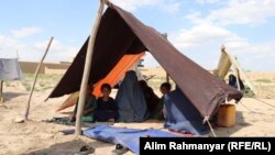 زندگی مشقت بار زنان بیوه در ولایت جوزجان