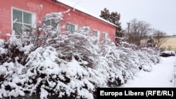 Иллюстрациялык сүрөт. 