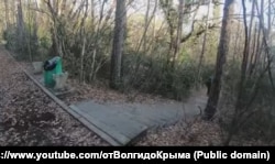 Ливадийский парк. Южный берег Крыма, январь 2025 года