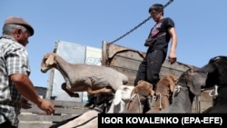 Мал базарлардын бири 